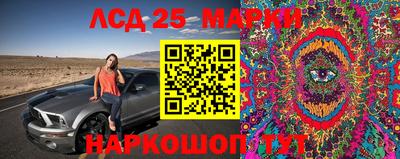 стафф Кулебаки