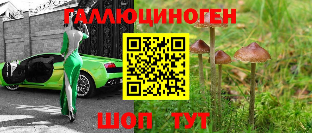 Галлюциногенные грибы Psilocybe Дзержинск